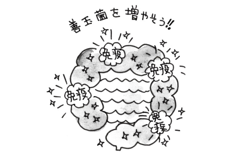 【今週のおたより】