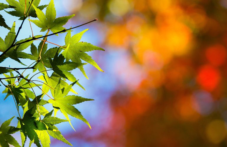 秋分の日は、暮らしを整えるきっかけに🍂