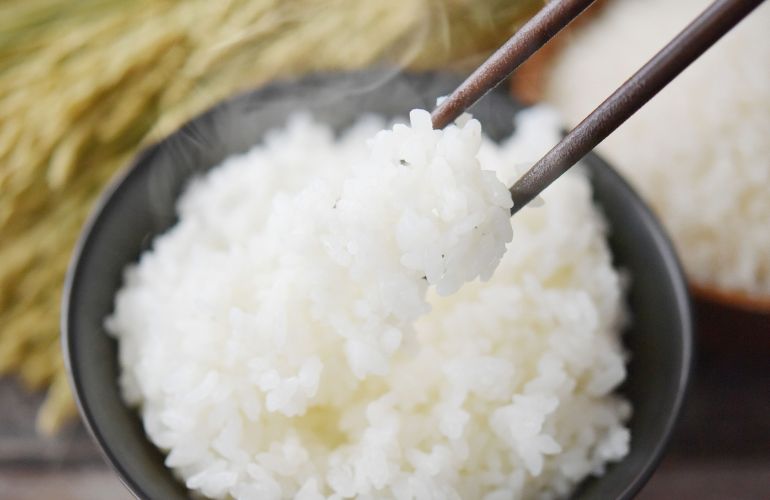炊きたてご飯が、いちばんのごちそう。🍚