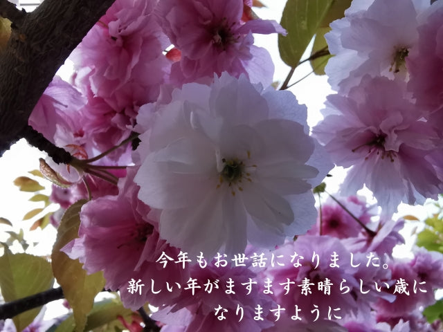 今年もありがとうございました！