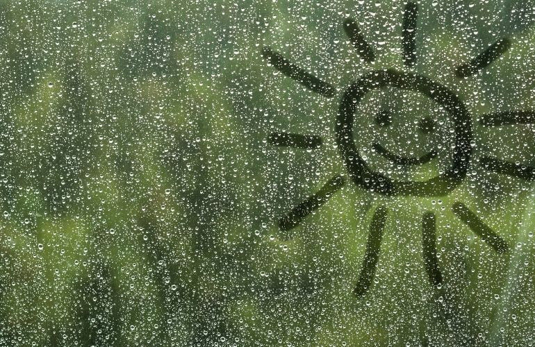 髪も頭皮もいたわる、今から始める梅雨準備