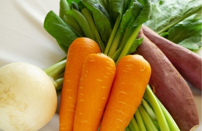 旬の野菜が甘くなる季節。発酵のやさしさで味わう秋ごはん