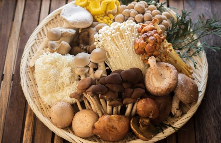 香り、食感、旨み。秋のきのこを楽しむ食卓づくり